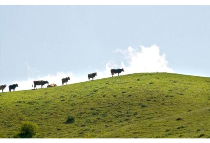 住宿加早餐  Casa Savu Secaria