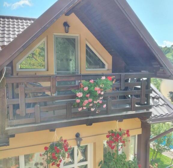 住宿加早餐  Casa Savu Secaria