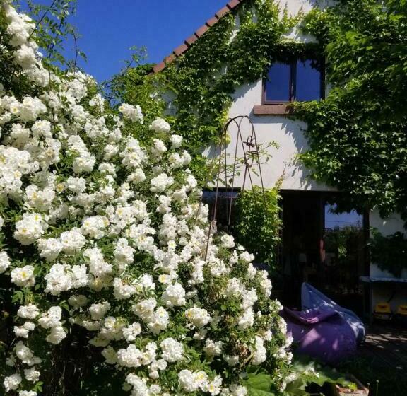مبيت وإفطار Chambre D Hôtes De Charme, Un Temps En Forêt