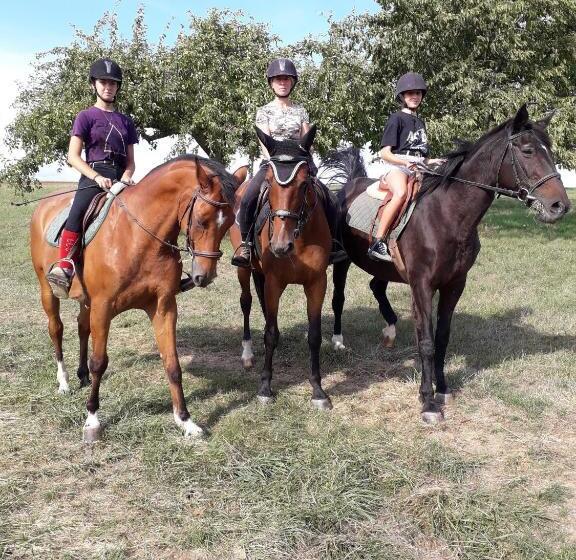 Bed and Breakfast Chambre D Hôtes Du Schneeberg