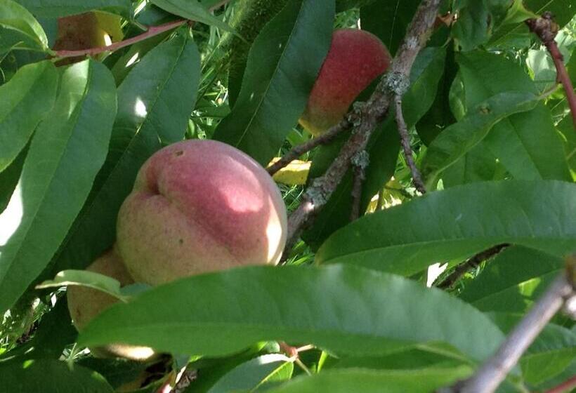 住宿加早餐 Chambre Privative Et Originale, à 20 Mn De Cluny