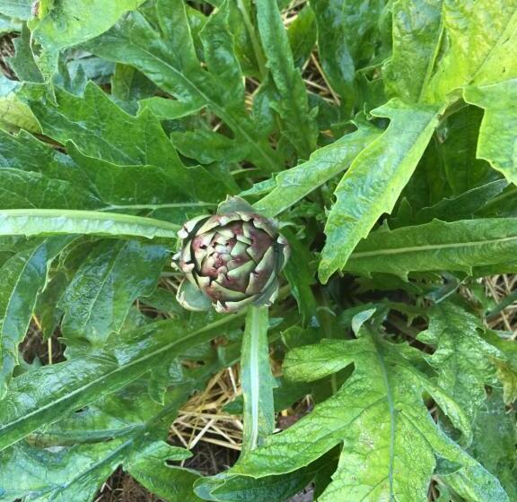 住宿加早餐 Chambre Privative Et Originale, à 20 Mn De Cluny