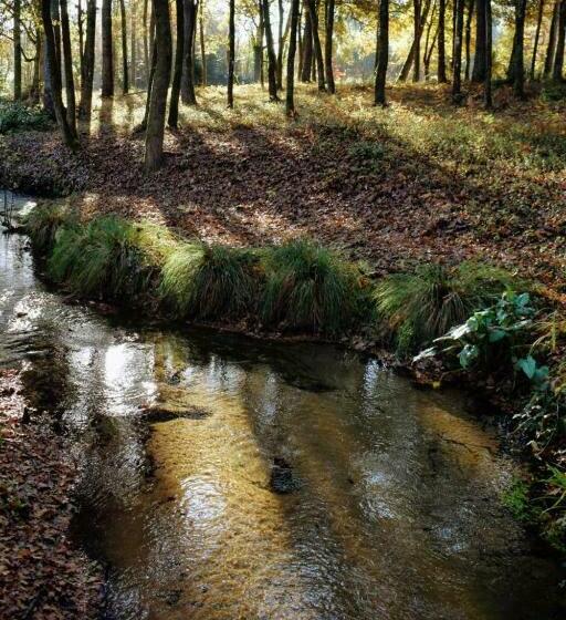 צימר Chambres D Hôtes à Pontonx