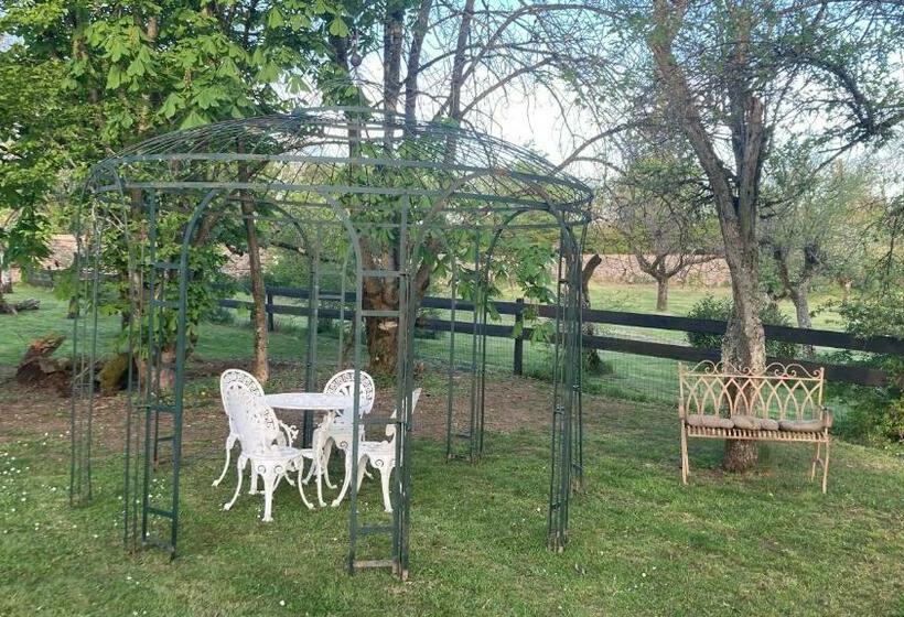 Bed and Breakfast Chez Zoiseau Et Zoiseautte