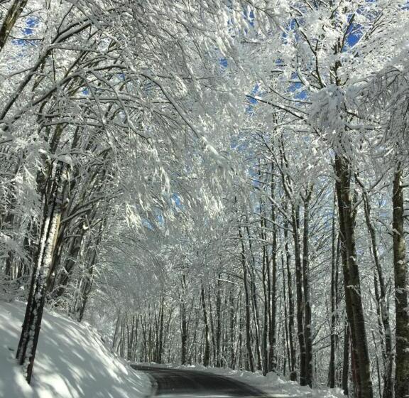 צימר Château De Sothonod