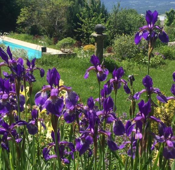 צימר Château De Sothonod