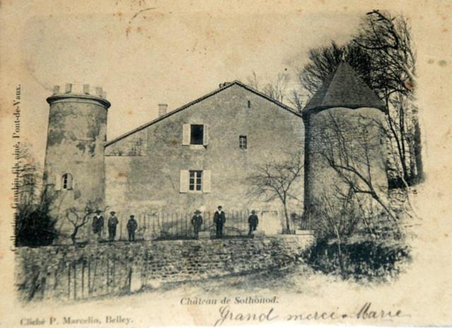 צימר Château De Sothonod