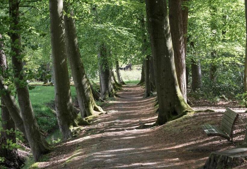 تختخواب و صبحانه De Burcht Drenthe