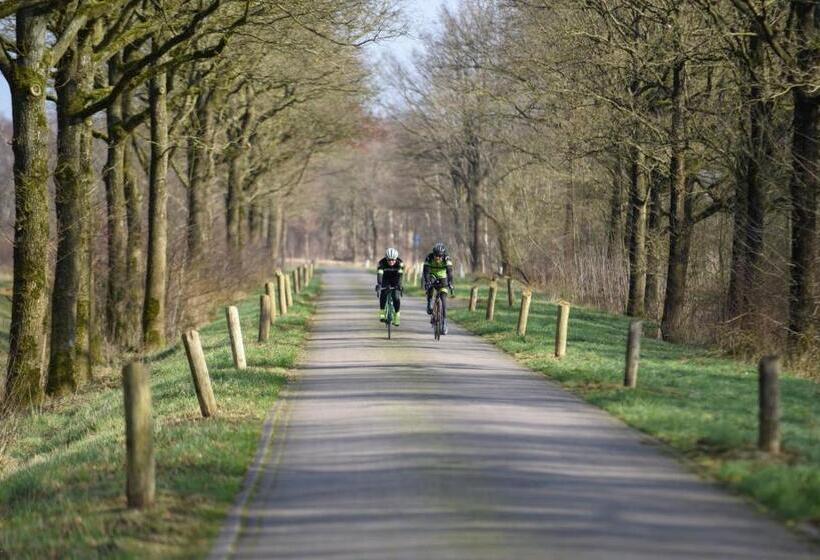 تختخواب و صبحانه De Burcht Drenthe