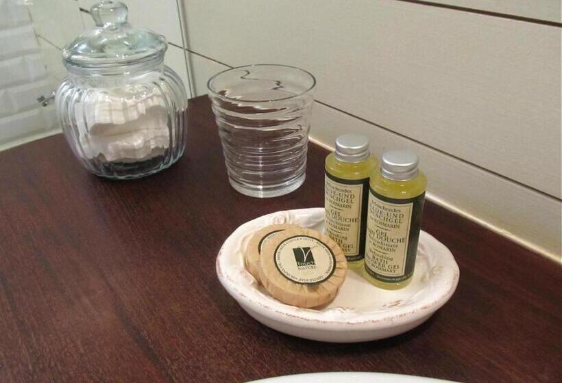 Bed and Breakfast Domaine D Armagnac