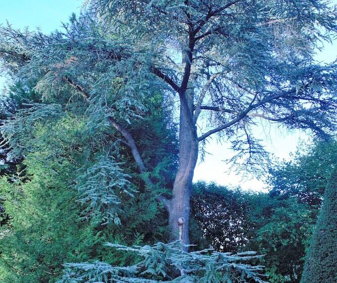 צימר Domaine Des Thomins