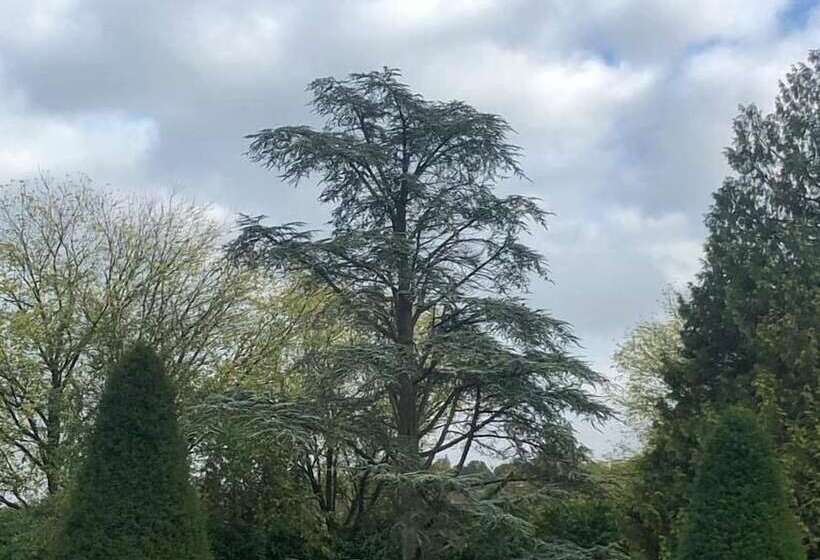 צימר Domaine Des Thomins