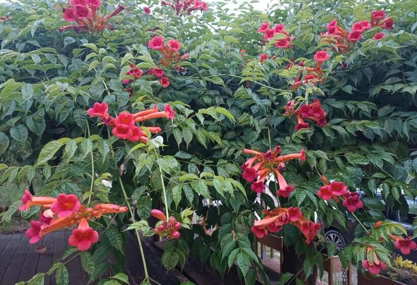 مبيت وإفطار Fattoria Branciana