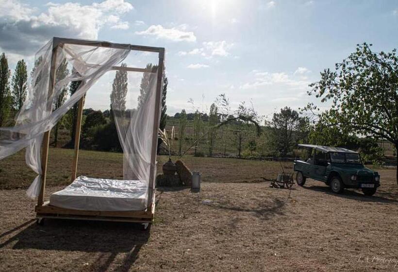 住宿加早餐  La Belle époque