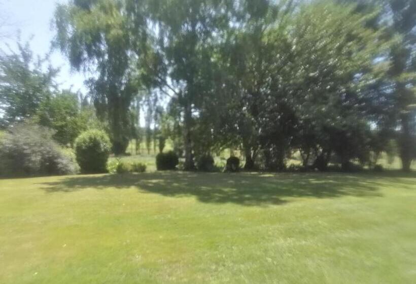 住宿加早餐  La Belle époque