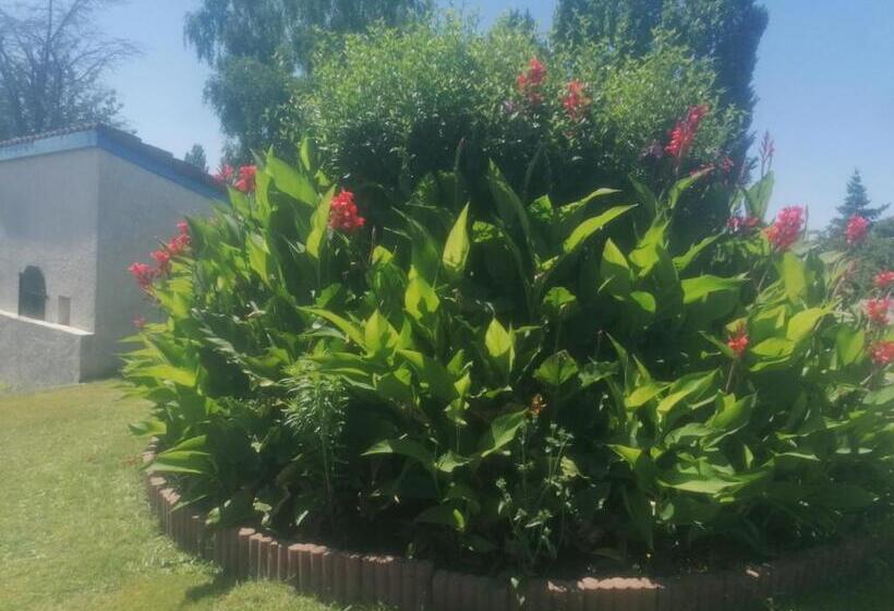 住宿加早餐  La Belle époque