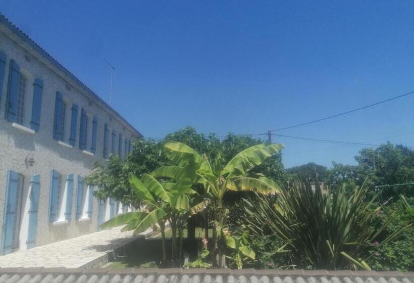 住宿加早餐  La Belle époque