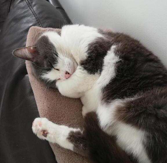 مبيت وإفطار La Ferme De Pham