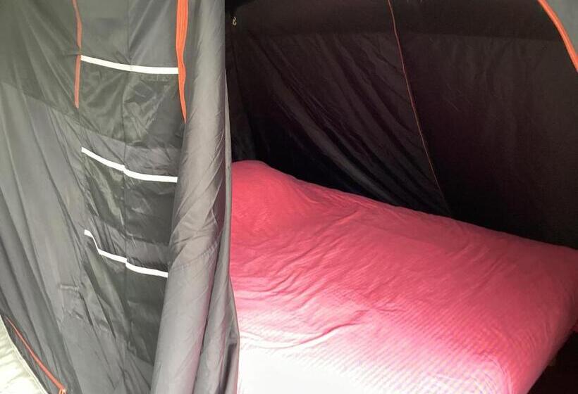 住宿加早餐 La Maison Du Bonheur Chambre Zen