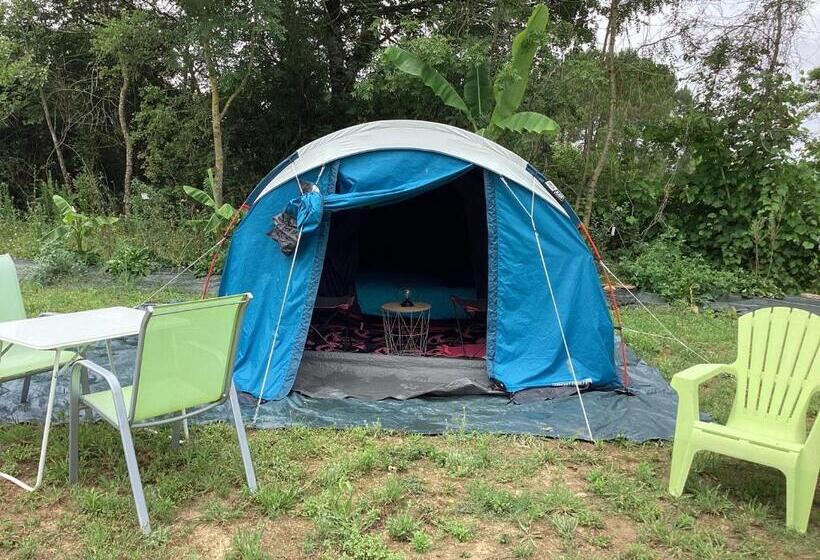 住宿加早餐 La Maison Du Bonheur Chambre Zen