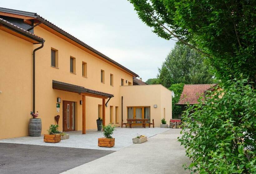 مبيت وإفطار Mayr Hof