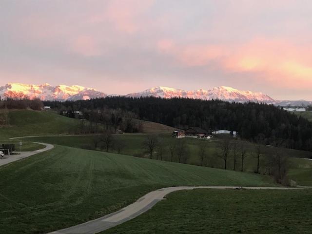 צימר Ruhige Zimmer Im Grünen Und Studio Im Naherholungsgebiet