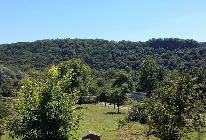 민박 Walnut Tree House