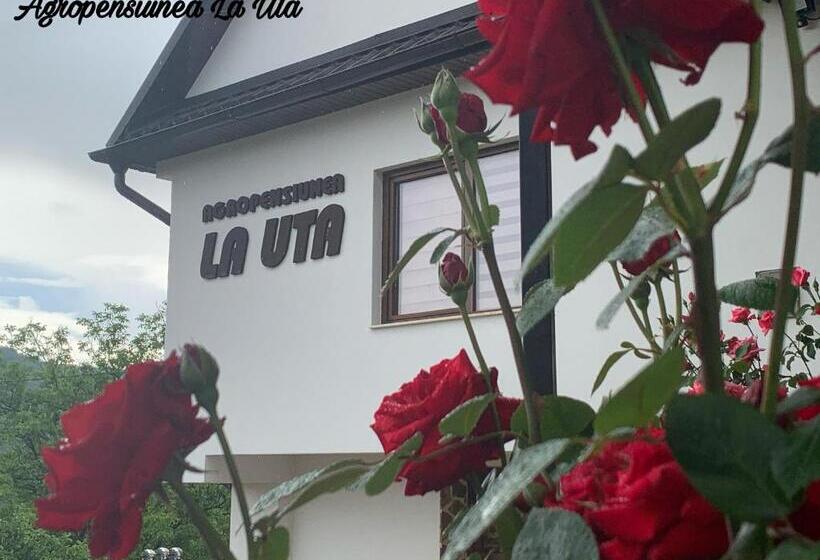 בית מלון כפרי Agropensiunea La Uța