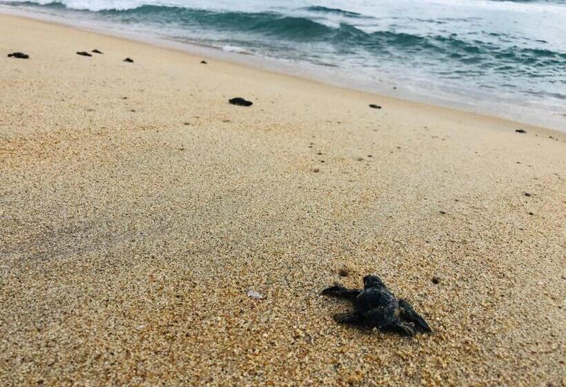 Отель Casa Tecata