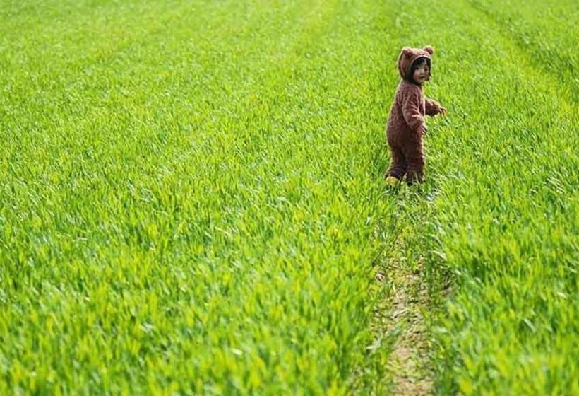 فندق Farm Stay Ezura Farm