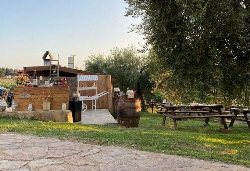 فندق Fattoria Rovello