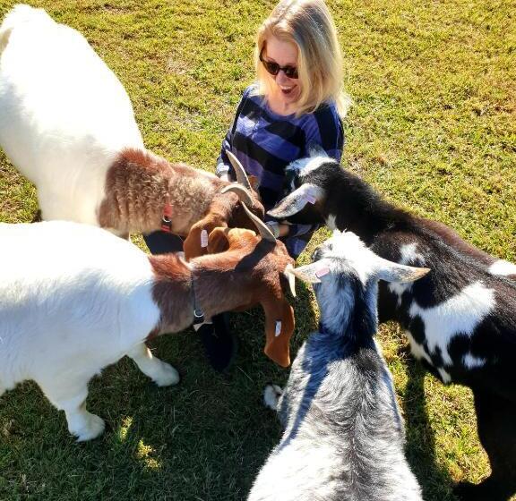 酒店 Fig Tree Farm B&b Highvale Farmstay Near Brisbane!