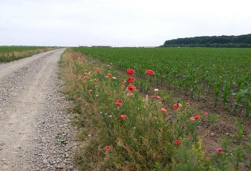 فندق Hobby Land Ranch Horse S Barn Guesthouse