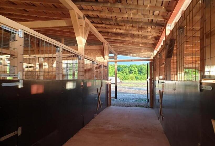 فندق Hobby Land Ranch Horse S Barn Guesthouse