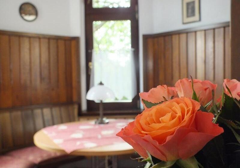 Отель Parkschlößchen