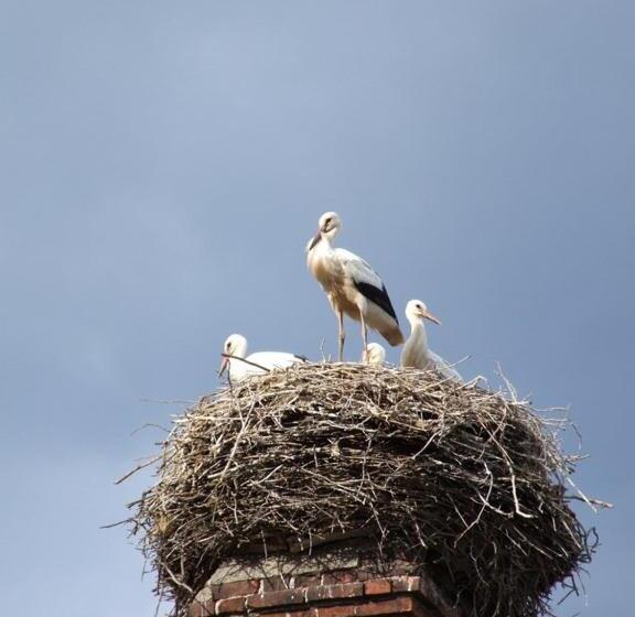 Отель Parkschlößchen