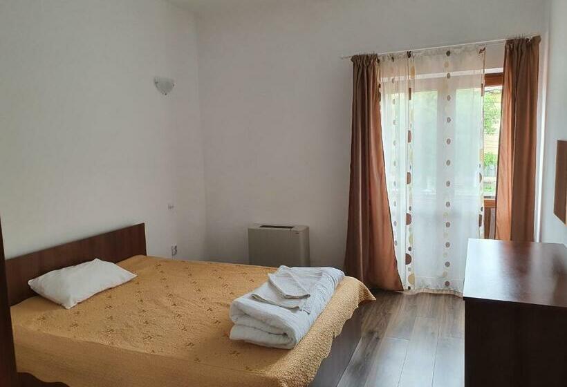 호텔 Pensiunea Anais