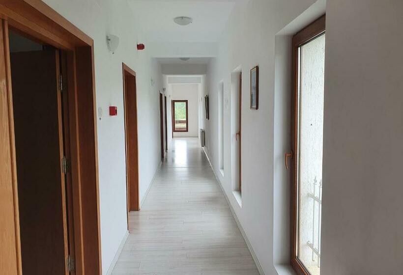 호텔 Pensiunea Anais