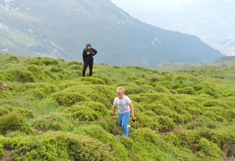 בית מלון כפרי Pensiunea Bradul