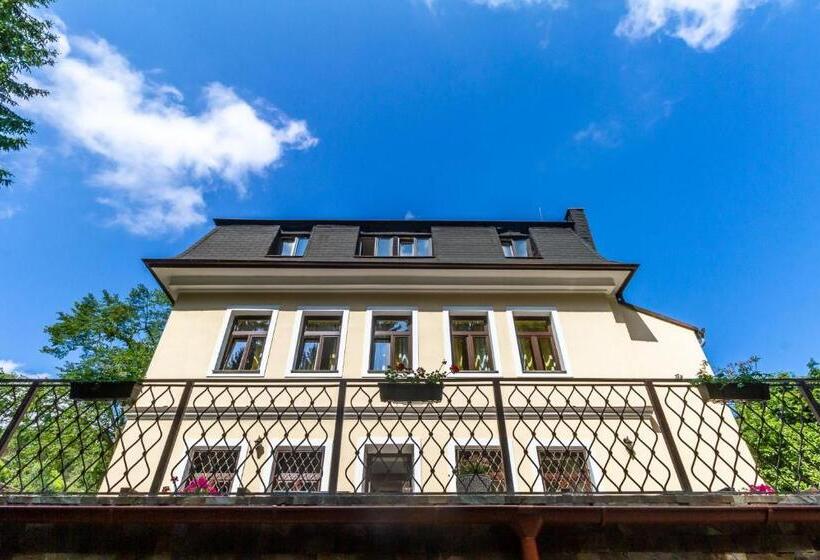 Отель Penzion Kokorin Forest Villa