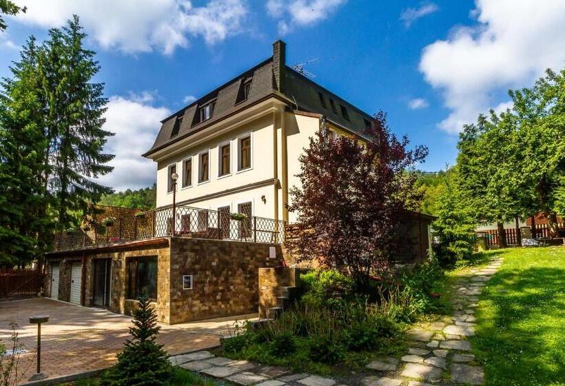 Отель Penzion Kokorin Forest Villa