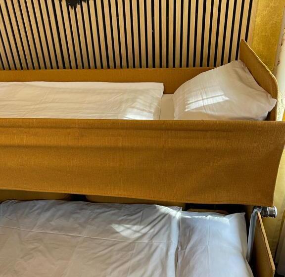 Отель Penzion Kokorin Forest Villa