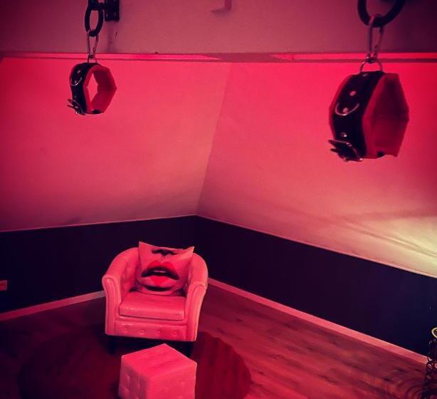 酒店 Redroom Loveroom Chambre Spa Privative Insolite Thème 50 Nuances De Grey