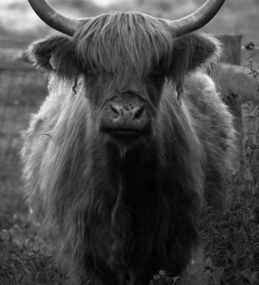 ホテル Statek Křinice