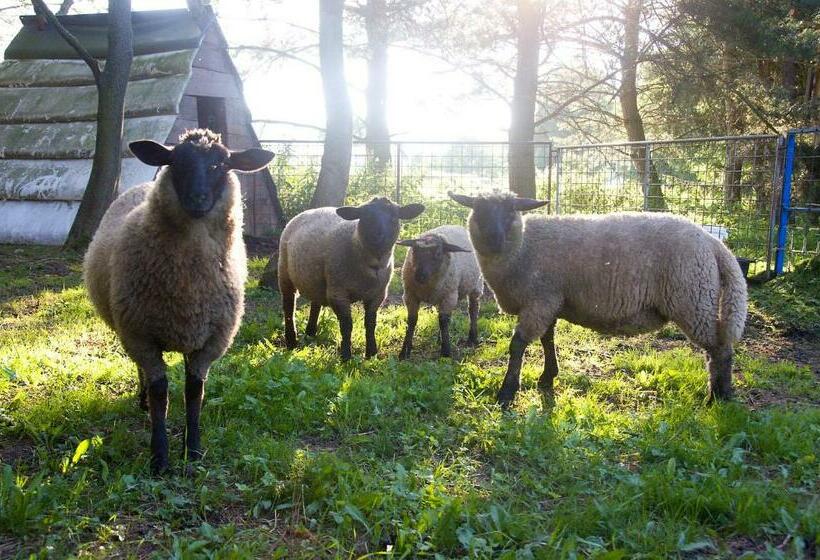 ホテル Statek Křinice