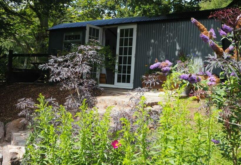 Отель The Owl Hoot