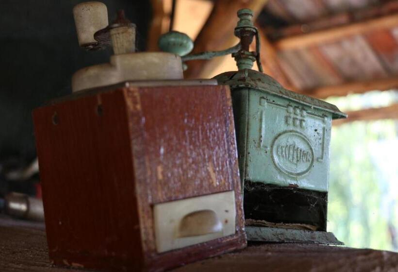 بنسيون Căsuța Din Zarand şi Punctul Gastronomic Local   Miliza