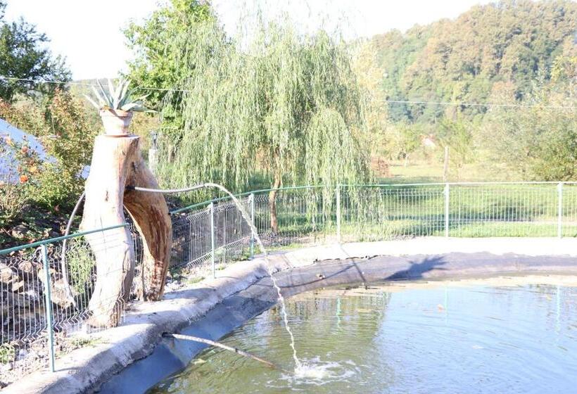 بنسيون Căsuța Din Zarand şi Punctul Gastronomic Local   Miliza