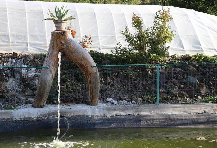 بنسيون Căsuța Din Zarand şi Punctul Gastronomic Local   Miliza