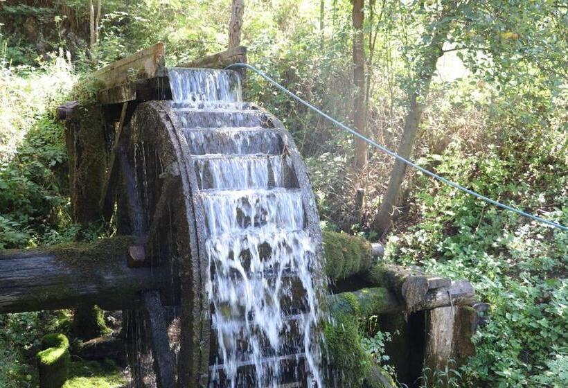 بنسيون Căsuța Din Zarand şi Punctul Gastronomic Local   Miliza